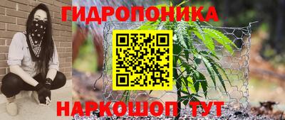 2c-b Славянск-на-Кубани