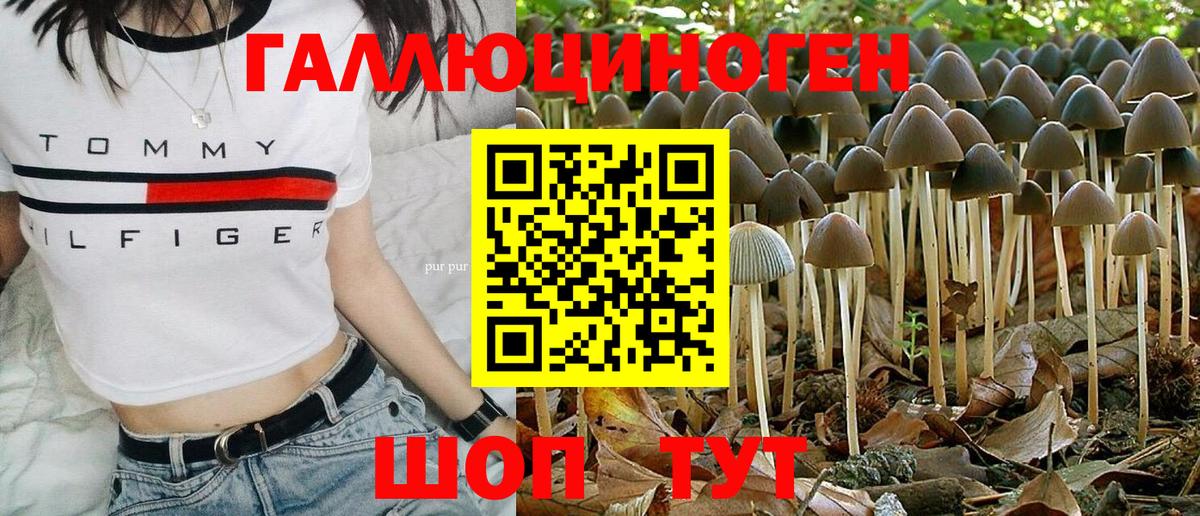 Галлюциногенные грибы Cubensis Березники