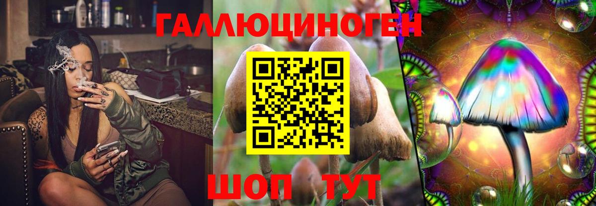 Березники  Галлюциногенные грибы Psilocybe  Вход с VPN 